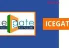 What is ICEGATE - An Overview of the Registration Process and Benefits
