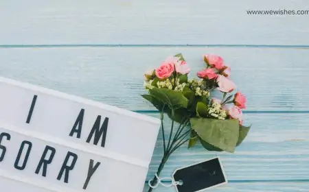 Sorry Messages,  I’m Sorry Messages and Sorry SMS