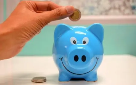 How to become a master of investments into mutual funds? How to become a master of investments into mutual funds?
