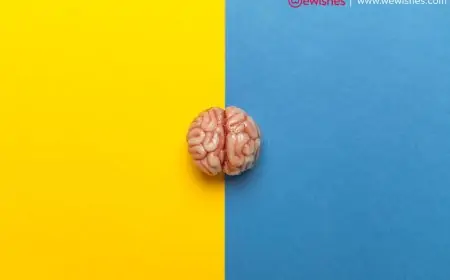 What Is A Dual Diagnosis Outpatient Treatment Program?