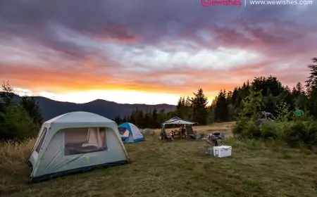 Things you need for camping Things you need for camping
