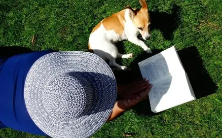How to Be a Responsible Dog Owner How to Be a Responsible Dog Owner