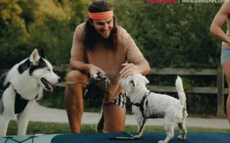 Dog bite history and potential for aggression