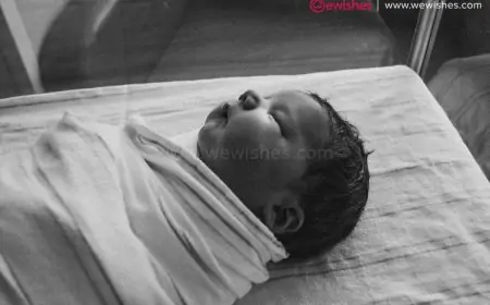 The Dangers of Toxic Baby Formula: Insights from the NEC Lawsuit The Dangers of Toxic Baby Formula: Insights from the NEC Lawsuit