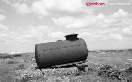 A Guide to the Best Septic Tank Treatments of 2023 A Guide to the Best Septic Tank Treatments of 2023