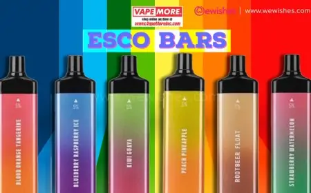Disposable Vaporizers: The 7 Most Frequently Asked Questions Disposable Vaporizers: The 7 Most Frequently Asked Questions