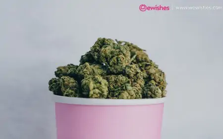 Delta 8 THC Flower – How Does it Work? Delta 8 THC Flower – How Does it Work?