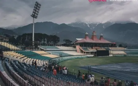 The Ultimate Guide to Understanding Odds and Probabilities in Sports Betting in India