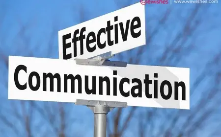 What is the Importance of Effective Communication Skills in an Individual's life?