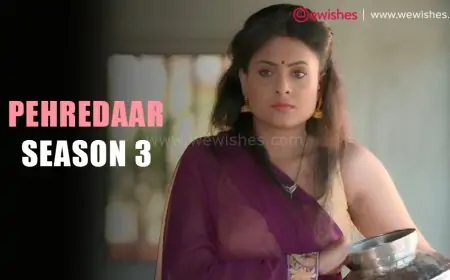 Pehredaar Season 3 Episodes Online Web Series Download 480p 720p 1080p (Primeplay)