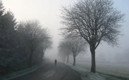 Happy International Festival of Winter Walks Wishes, Quotes