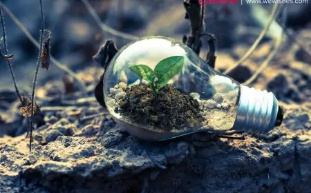 Empowering LLC Growth: Business Loans for Your Company Empowering LLC Growth: Business Loans for Your Company