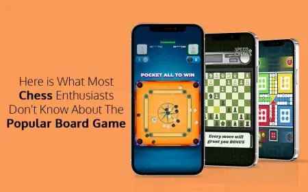 Here is What Most Chess Enthusiasts Don't Know About The Popular Board Game Here is What Most Chess Enthusiasts Don't Know About The Popular Board Game