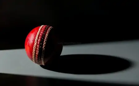 Improving The Win Percentage In Cricket Betting