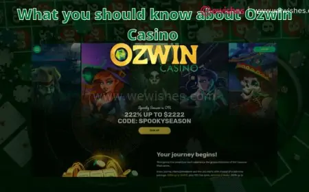 What you should know about Ozwin Casino  What you should know about Ozwin Casino