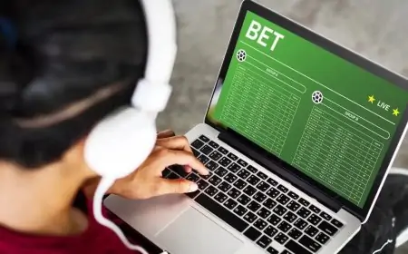 The Exciting World of MegaPari Betting The Exciting World of MegaPari Betting