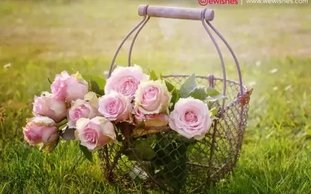 Romantic roses flower For Your Loved one