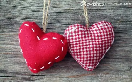 Love Status: Best Love Whatsapp Status & Quotes For Lovers