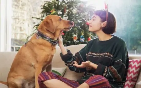 Merry Christmas Quotes That Will Make You Feel Christmassy Inside