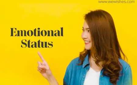 Emotional Status Quotes That Will Arouse Your Sentiments Emotional Status Quotes That Will Arouse Your Sentiments