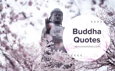 Buddha Quotes Love, Peace, Happiness That Will Wiser You