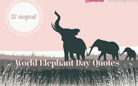 World Elephant Day 2025: Top Quotes and Wishes