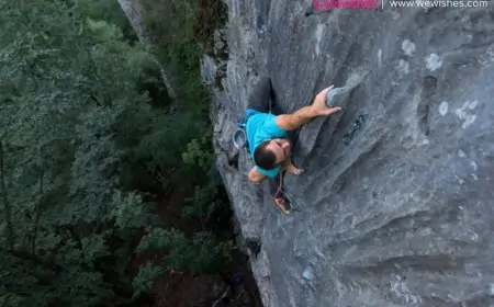 Hard Work Quotes: That Will Giving You Importance of Working Hard For Your Goals