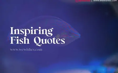 Exploring the Wonders of the Sea: Inspiring Fish Quotes