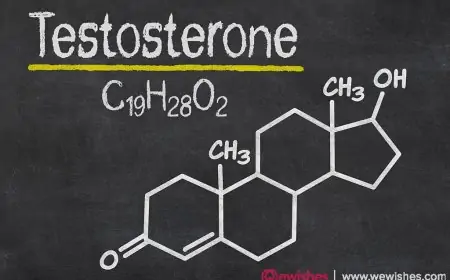 How To Increase Testosterone Naturally