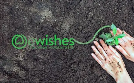 About World Environment Day