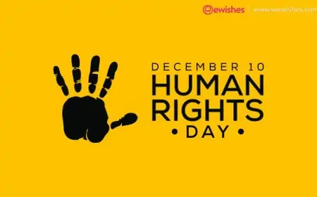 Human Rights Day 2024: Quotes, Messages And Images To Share With Everyone Human Rights Day 2024: Quotes, Messages And Images To Share With Everyone