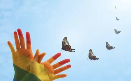 Happy National Butterfly Day 2024 Wishes, Quotes, Greetings, Banner, Theme, Status Happy National Butterfly Day 2024 Wishes, Quotes, Greetings, Banner, Theme, Status