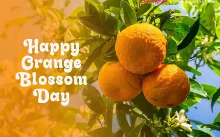 Happy Orange Blossom Day (2024) - Know Amazing Facts How Orange Benefits Skin and Health