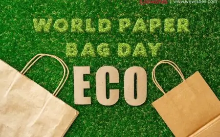 Celebrate (12 July 2024) World Paper Bag Day to Save Our Planet With 07 Amazing Tips Celebrate (12 July 2024) World Paper Bag Day to Save Our Planet With 07 Amazing Tips