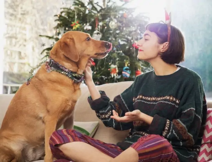 Merry Christmas Quotes That Will Make You Feel Christmassy Inside