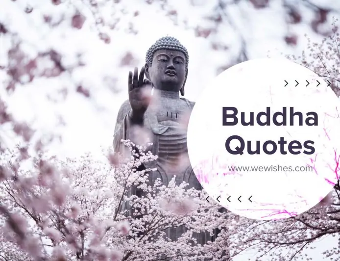 Buddha Quotes Love, Peace, Happiness That Will Wiser You