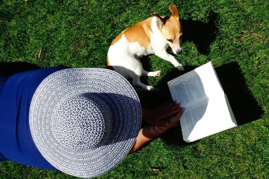How to Be a Responsible Dog Owner