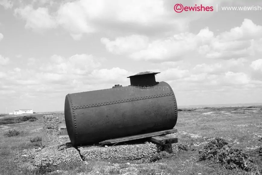 A Guide to the Best Septic Tank Treatments of 2023