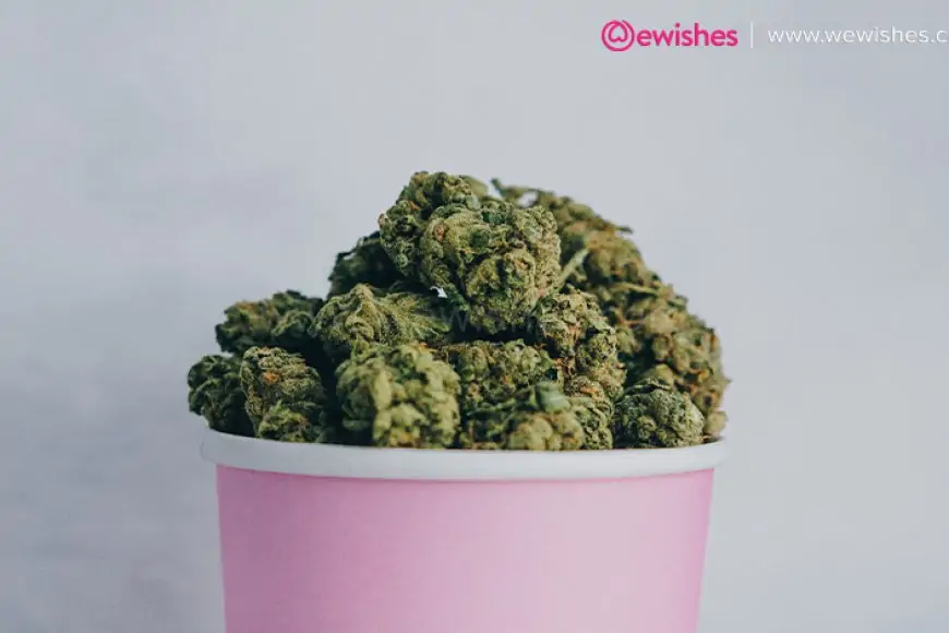 Delta 8 THC Flower – How Does it Work?