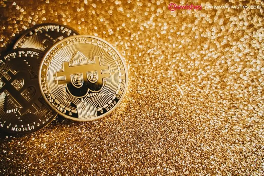 Review of AI Alpha on the Cryptorobotics Platform