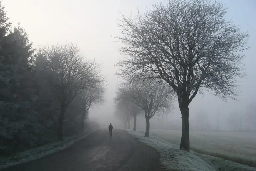 Happy International Festival of Winter Walks Wishes, Quotes