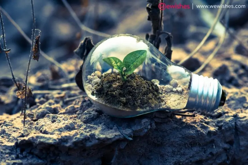 Empowering LLC Growth: Business Loans for Your Company