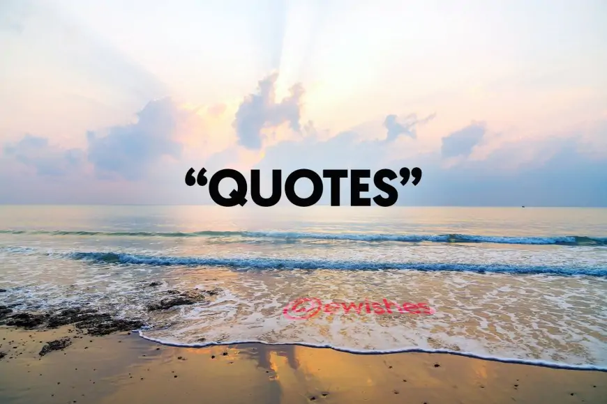 Quotes - 2019