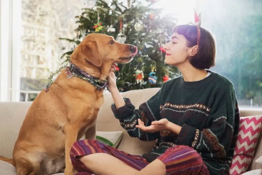 Merry Christmas Quotes That Will Make You Feel Christmassy Inside
