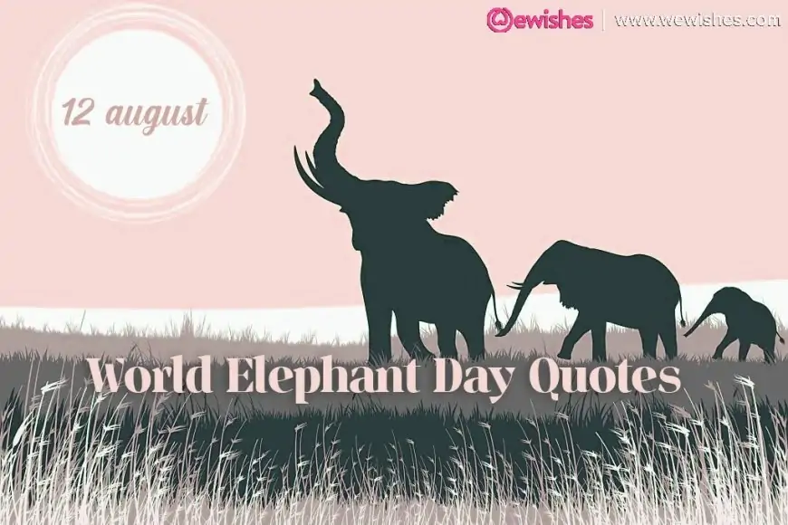 World Elephant Day 2025: Top Quotes and Wishes