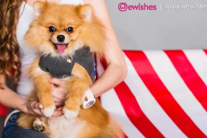 International Dog Day 2024: Quotes, Wishes, Messages, History, Significance and more