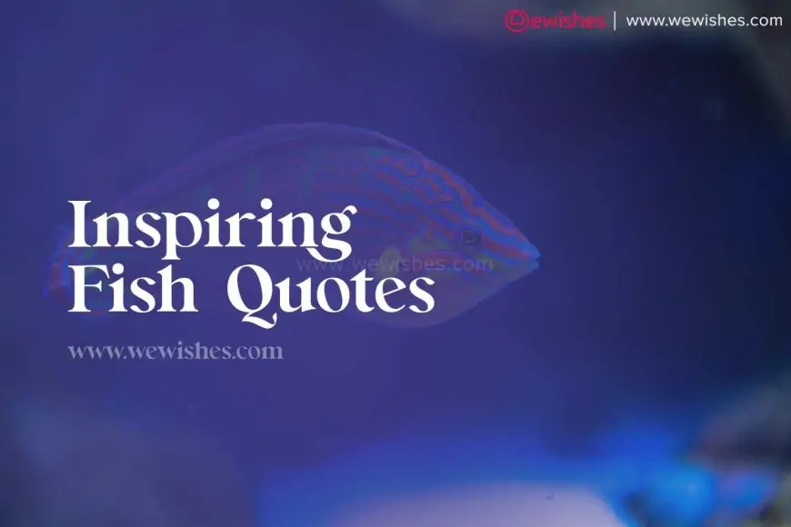 Exploring the Wonders of the Sea: Inspiring Fish Quotes