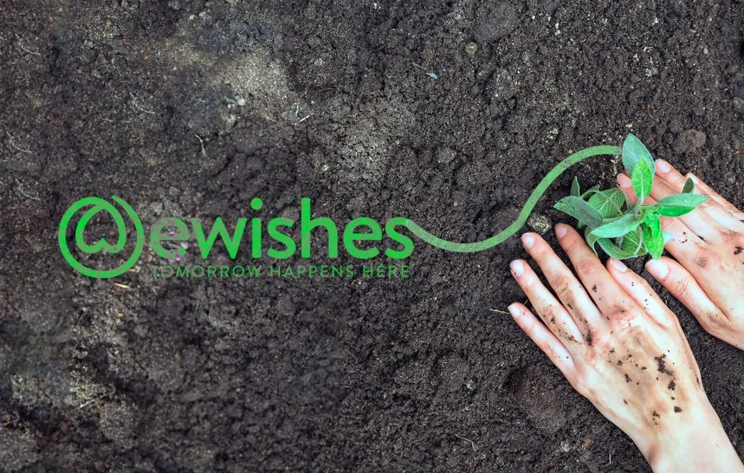 About World Environment Day