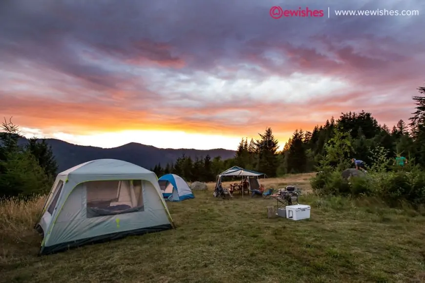 Things you need for camping