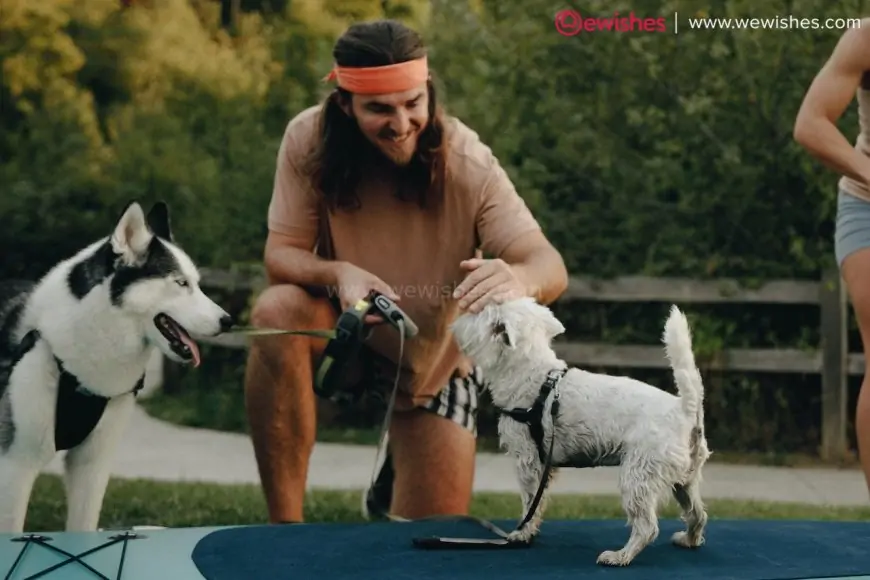 Dog bite history and potential for aggression